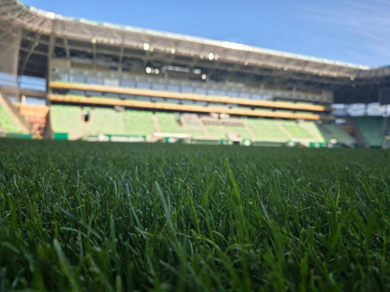 stadionrasen