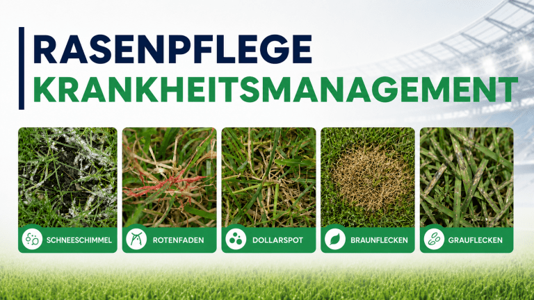 Krankheitsmanagement - arten von krankheiten